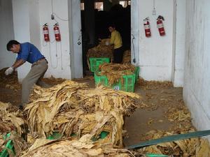 八道拐自然村[大水井行政村下轄自然村]
