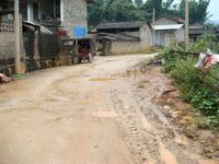 油菜地新村自然村 油菜地新村自然村