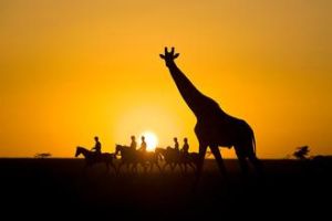 東非保護國 東非保護國