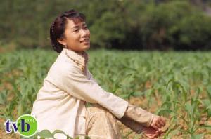 《酒是故鄉醇》