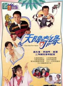 天降奇緣[1995年潘嘉德執導的愛情喜劇]