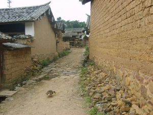 文茂自然村 文茂自然村