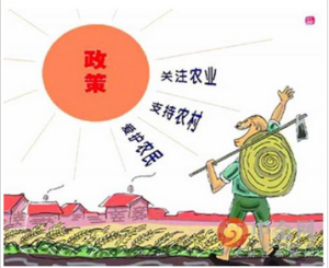 農村集體產權制度改革