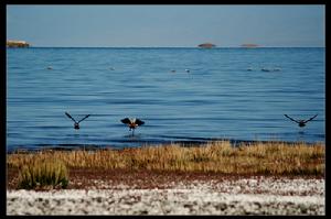 （圖）阿牙克庫木湖