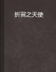 折翼之天使 折翼之天使