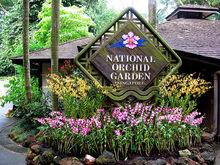 國家蘭花園