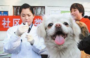 狂犬病毒