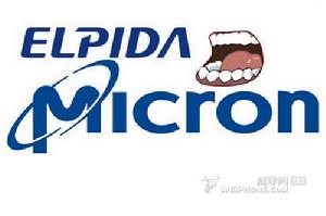 鎂光科技 鎂光科技