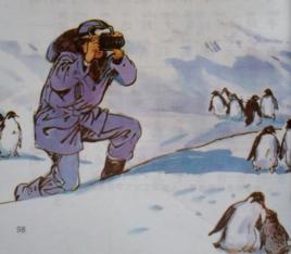 我和企鵝 我和企鵝