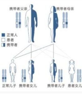 單基因病 單基因病