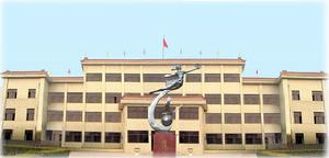 分公司銅陵雷鳴雙獅化工有限責任公司