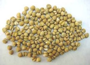 薏仁蓮藕煲豬腳