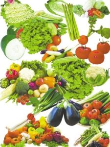 我愛菜園網 我愛菜園網