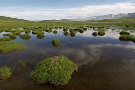 高原濕地 高原濕地
