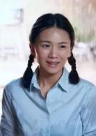 錦繡年華[2016年張曉光執導電視劇]