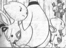 賽場中的波克基古