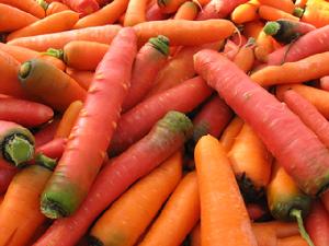 胡蘿蔔