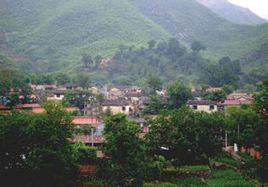 齊家莊村[河北省定州市東留春鄉齊家莊村]