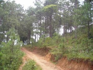 阿黑王村 阿黑王村