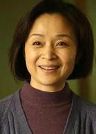 家有九鳳[2005年楊亞洲執導電視劇]