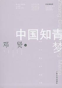 《中國知青夢》