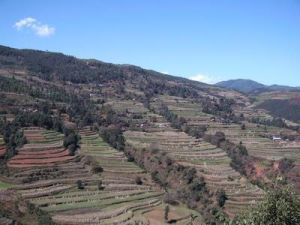 亂水台村 亂水台村