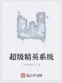 超級精英系統 超級精英系統