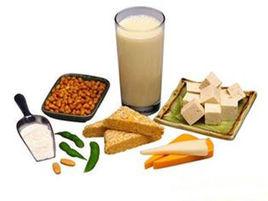 人體必需營養素 人體必需營養素