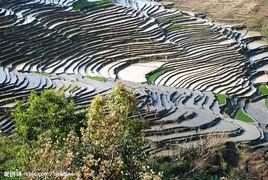 鄂嘉梯田 鄂嘉梯田