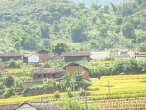 應白自然村 應白自然村