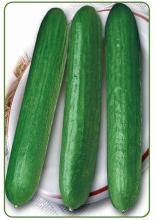 翠秋秀美 翠秋秀美