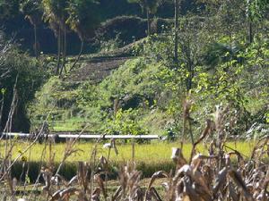 東登自然村自來水管