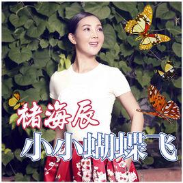 小小蝴蝶飛 小小蝴蝶飛