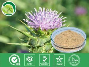 水飛薊提取物 水飛薊提取物
