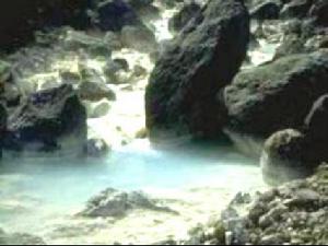 （圖）陽明山溫泉