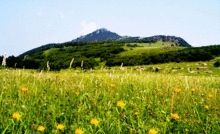 百花山國家級自然保護區