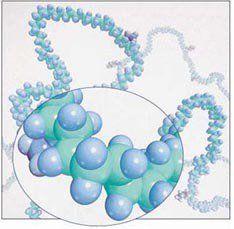 有機高分子化合物 有機高分子化合物