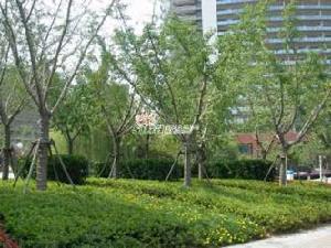 金鷹國際商城 金鷹國際商城