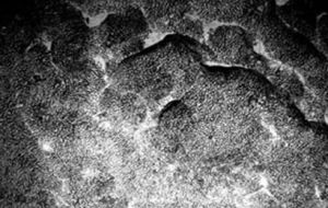 富鈷結殼 富鈷結殼