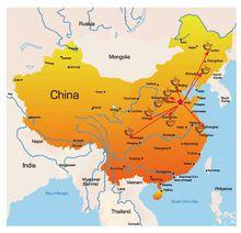 Milktar's 蛋撻工坊