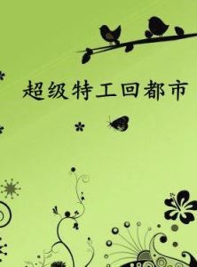 超級特工回都市 超級特工回都市