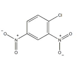 1-氯-2,4-二硝基苯 1-氯-2,4-二硝基苯