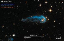 宇宙毛毛蟲 宇宙毛毛蟲