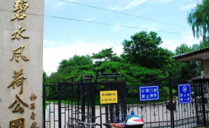 碧水風荷公園 碧水風荷公園