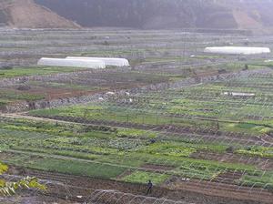 雙豐村[湖北省十堰市黃龍鎮雙豐村]