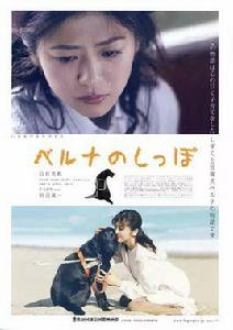 貝魯納的尾巴 貝魯納的尾巴