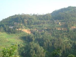 花魚河自然村 花魚河自然村
