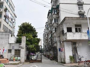 肥西路小區實景圖