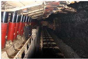 能源方面:悅達集團在山西、陝西、內蒙投資擁有年產能力達1500萬噸的煤礦。其中陝西黃陵煤礦項目，年產1000萬噸，屬世界特大型煤礦，位居全國第三，是蘇陝兩省最大的經濟合作項目之一。陝西中能煤田，年產300萬噸。山西中陽軍山礦，年產主焦煤60萬噸。內蒙古烏蘭渠煤礦，年產100萬噸。內蒙古巴音孟克煤礦，年產100萬噸。未來幾年間，悅達煤炭開採、調運總量將達2000萬噸。