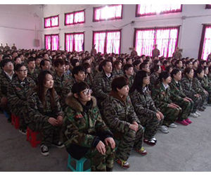 奮發蹈厲 奮發蹈厲